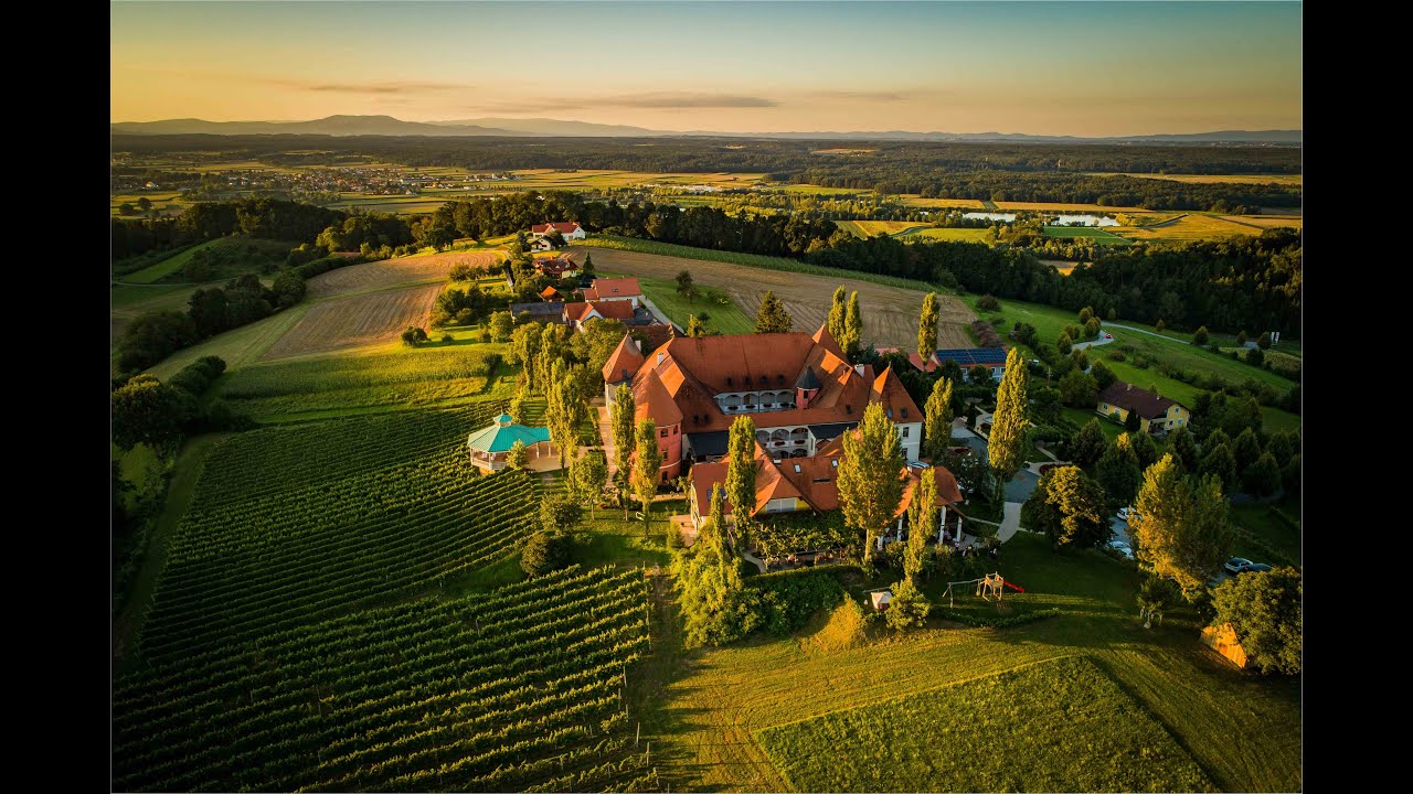 Weinschloss Thaller / The winery