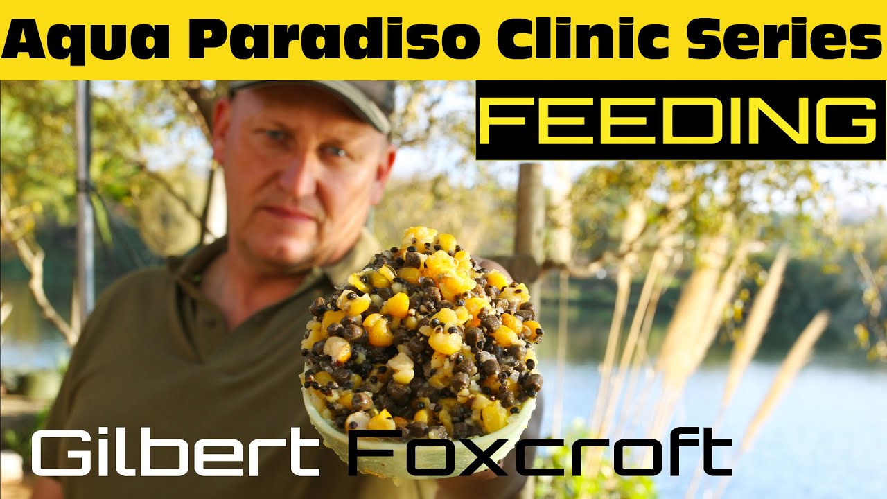 Aqua Paradiso Clinic Series | Ep 2 - Feeding