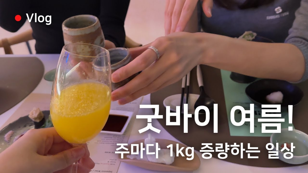 [Vlog] 8월은 축하의 달인가보다🎉🥂 서촌 오카즈 재방문, 비스트로 드 욘트빌, 청담 기욤, 집밥 일기, 유니유니 동물케이크🍰