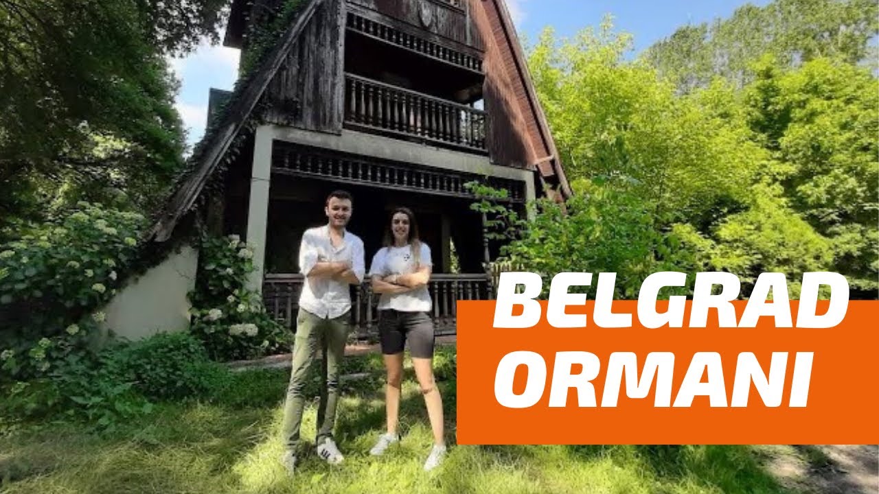 BELGRAD ORMANI | Tamamını Gezdik !!! #istanbul #belgradormanı #gezi #orman