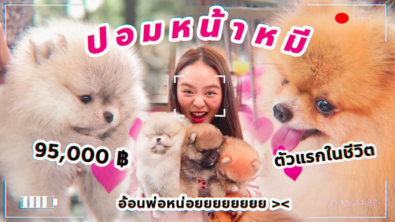 ลูกสาวตัวน้อย ... รับมาอยู่บ้านดีมั้ย??