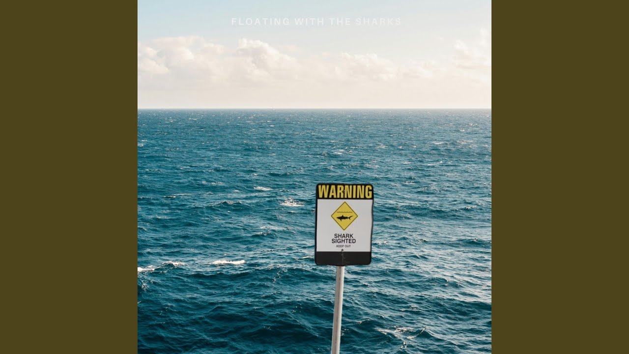 Floating with the sharks