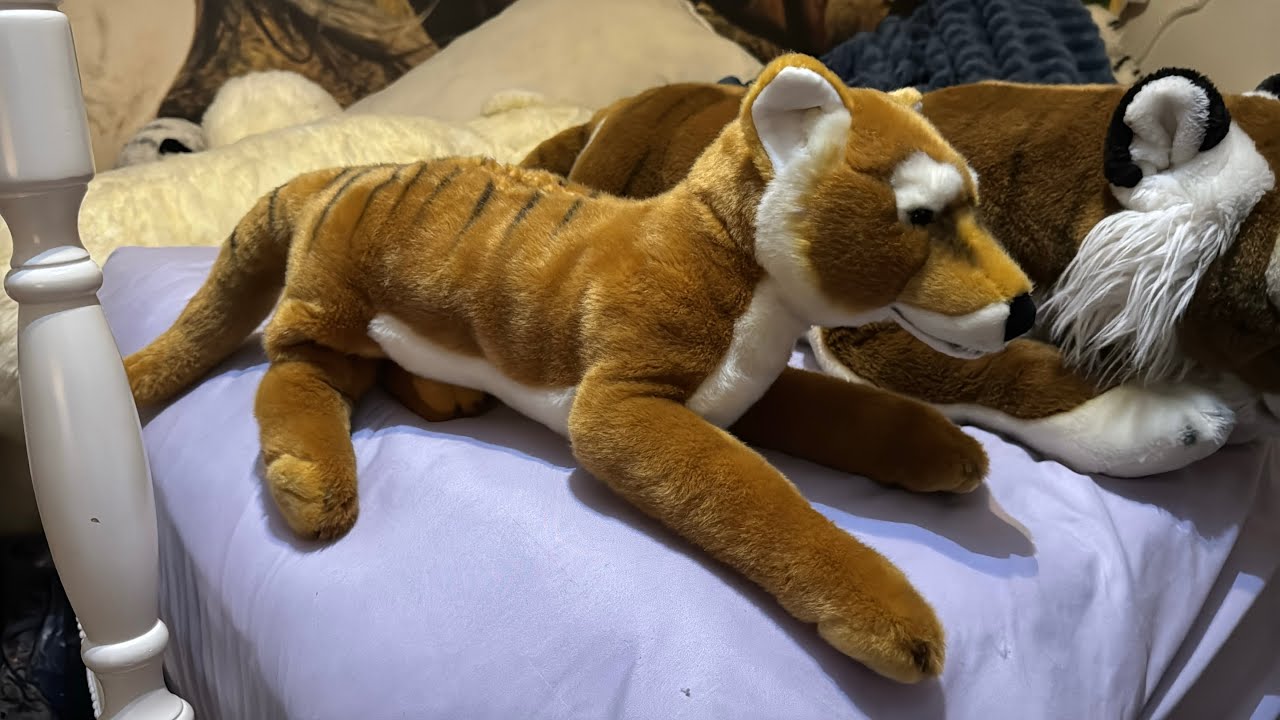 Flopifying Indigo The Thylacine Plush By Wildberryplush