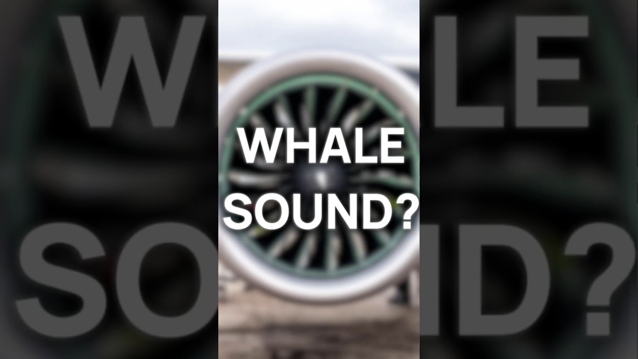 Why do some jet engines sound like whales?