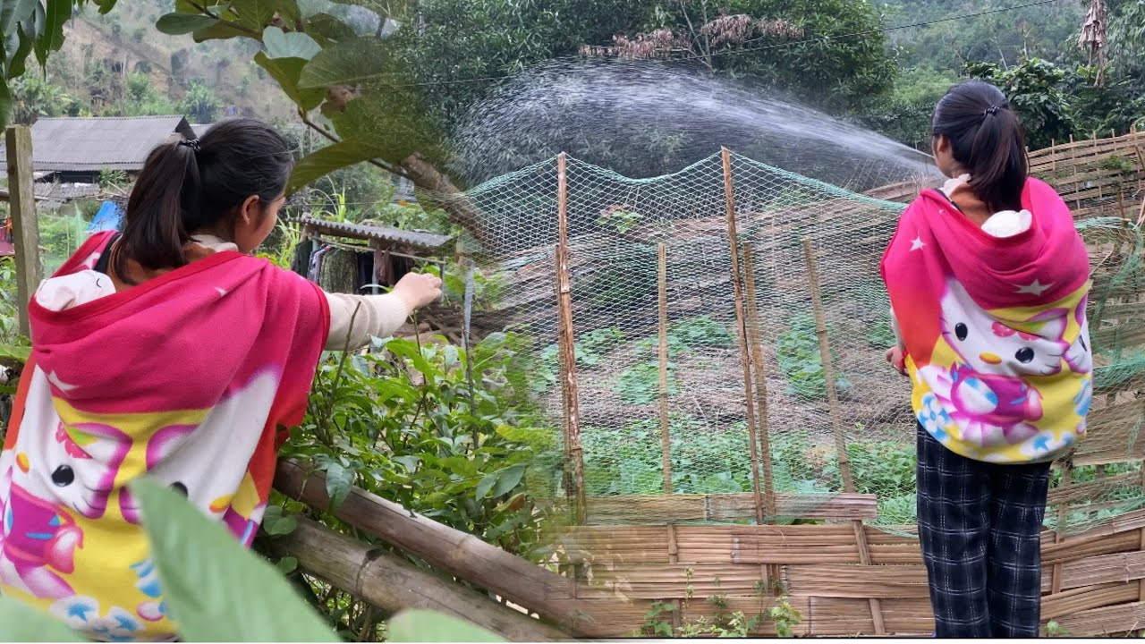 single mother and baby- catching giant fish and making dried fish