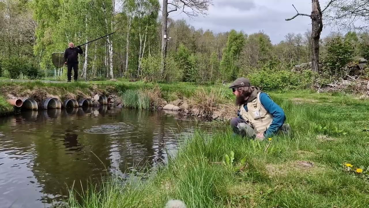 Torrflugefiske - Bondemölla 2025