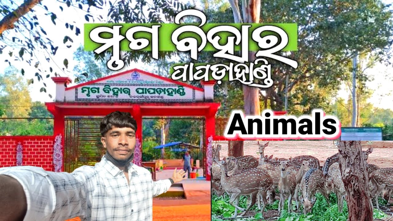Papadahandi Deer Park // Dinesh vlog video// mitar ke saat//