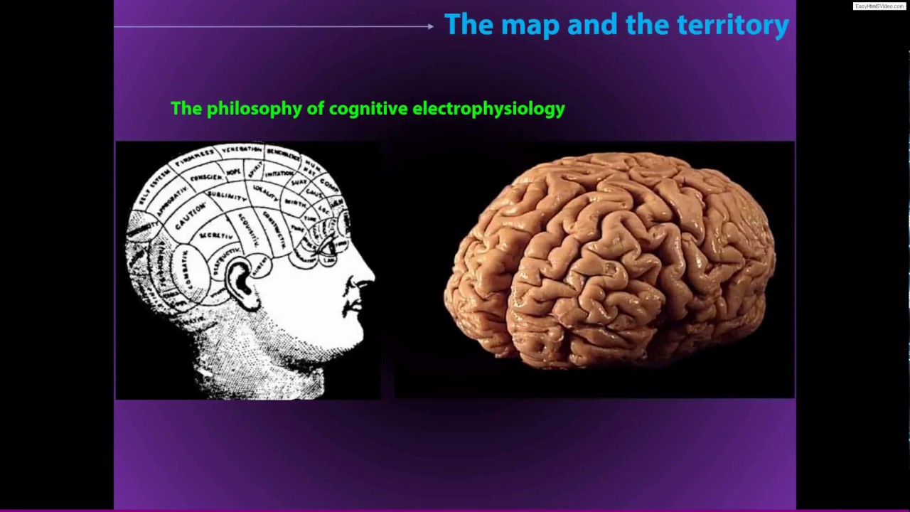 Broad overview of EEG data analysis analysis