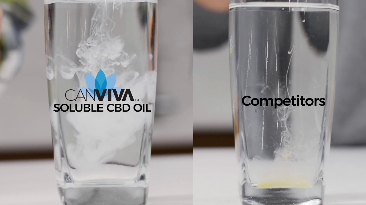 CANVIVA SOLUBLE CBD Tincture Allows You to Create CBD Beverages at Home for Anxiety, Stress and Pain