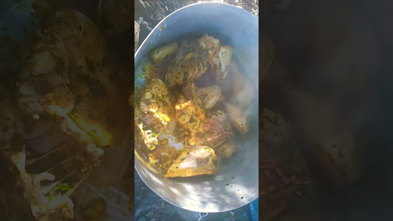 غداء في طبيعة