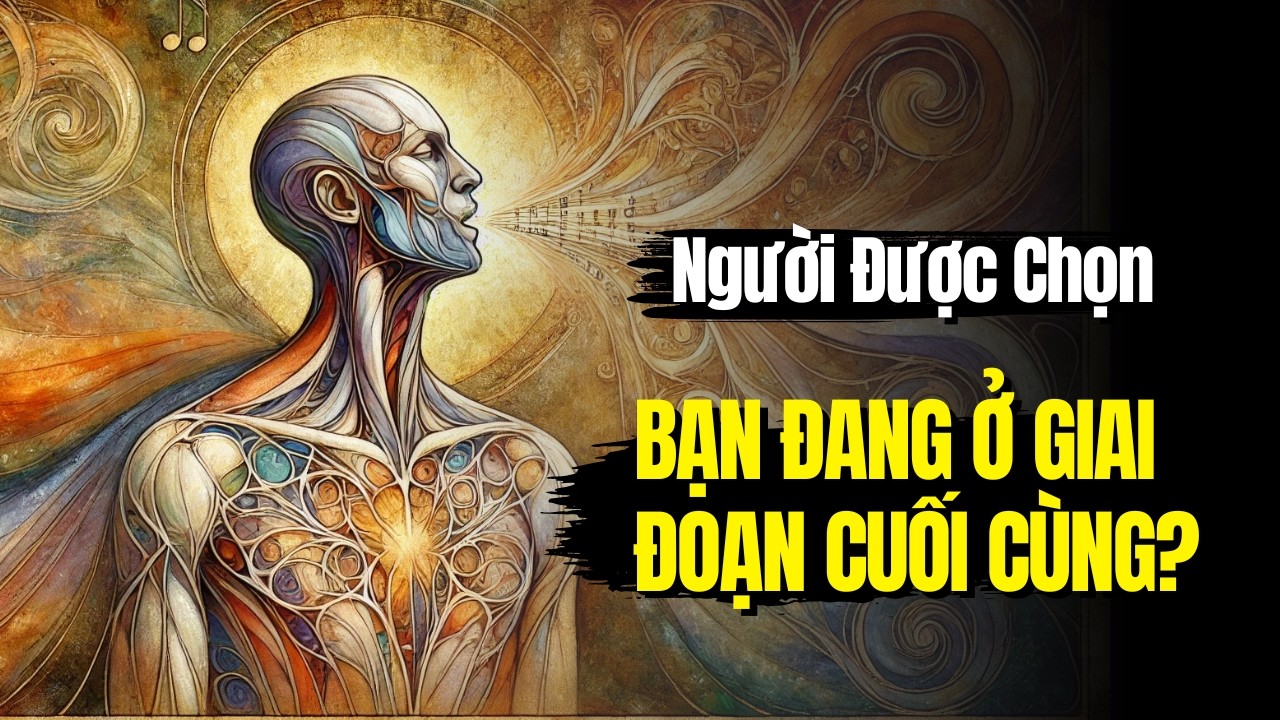 Người Được Chọn: Dấu Hiệu Bạn Đang Ở Giai Đoạn Cuối Cùng