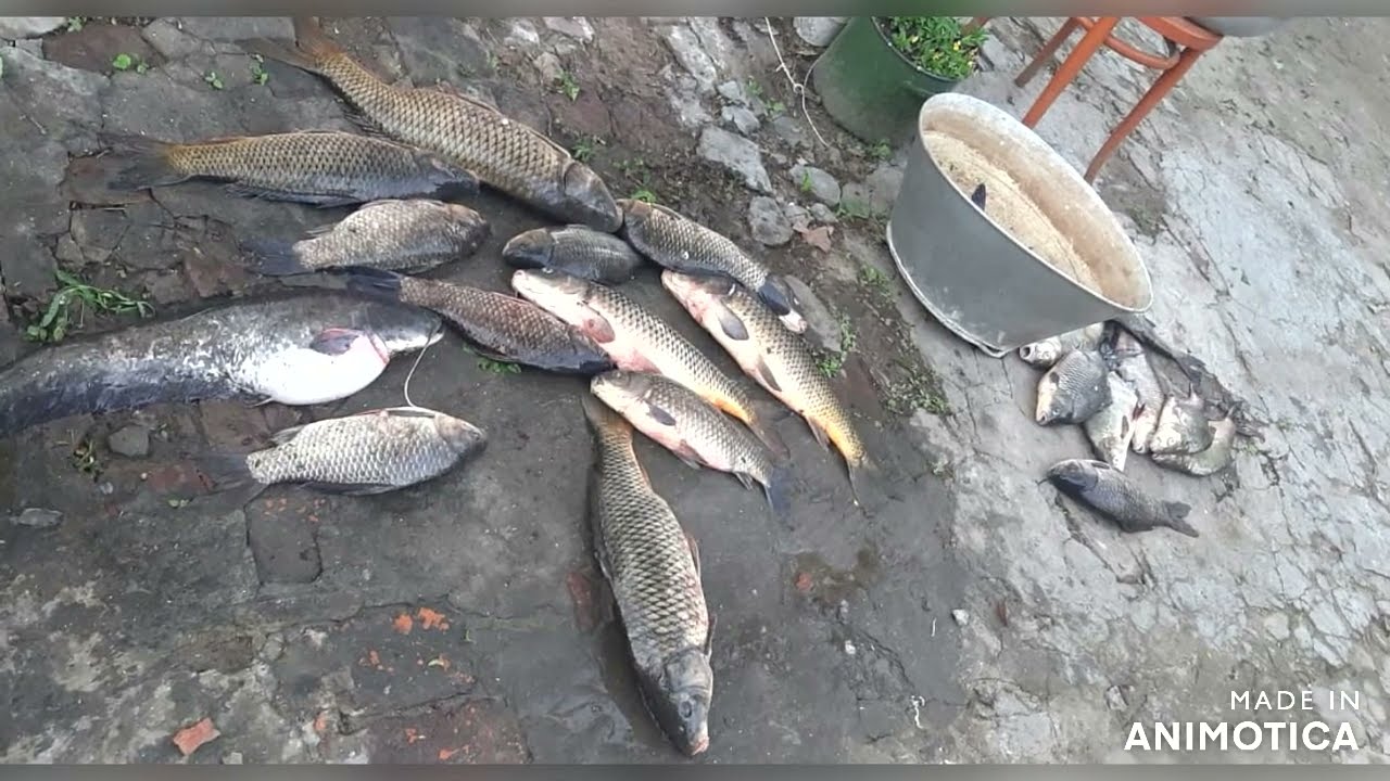 Поездка на рыбалку в Астрахань
