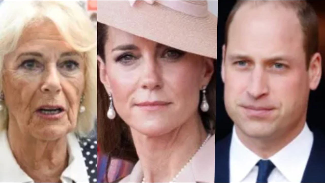 Kate Middleton dragged into Daily Mail trial, entire royal family HECKLED in brutal viral footage