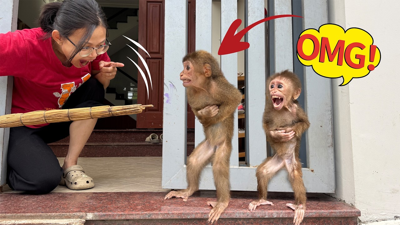 Mom’s surprising reaction when Lucky and Sunny go out to play without wearing clothes!