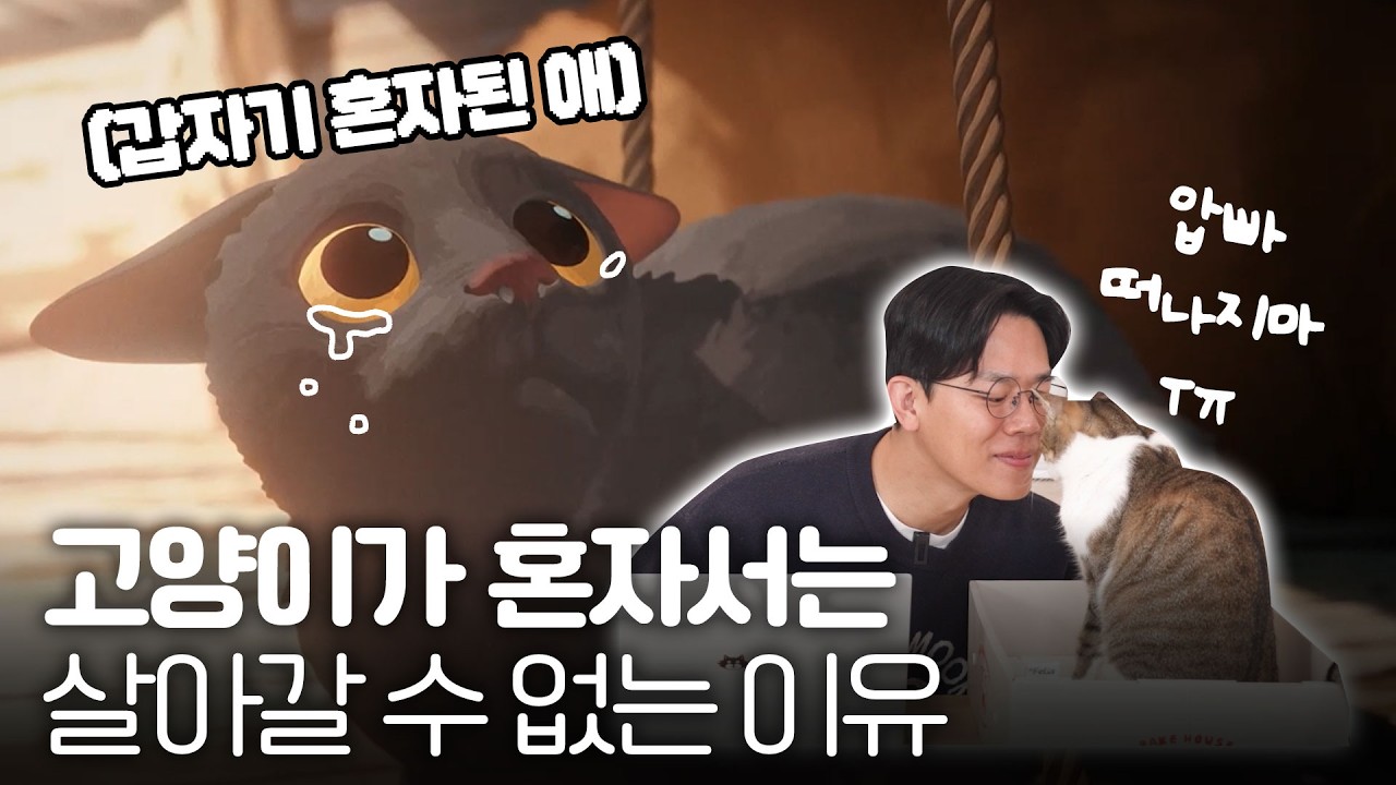 대문자T 수의사도 울린 고양이 영화 ‘플로우’ 리뷰