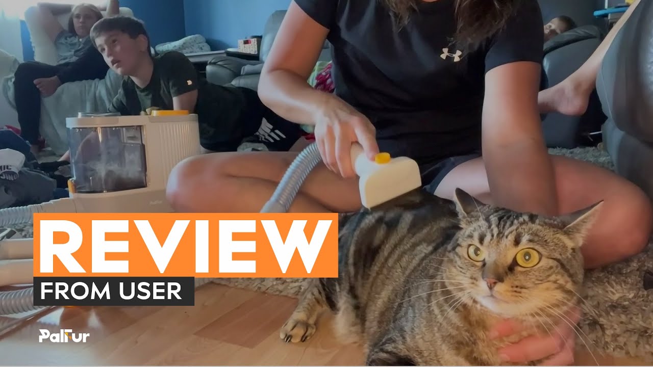 Review from User. Unleash the joy of home pet grooming with #palfur #petgrooming