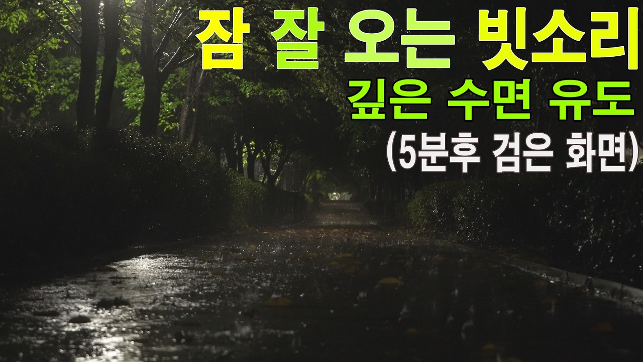 잠 잘오는 빗소리 5분후 검은화면 | 10시간 깊은 수면유도 비오는소리