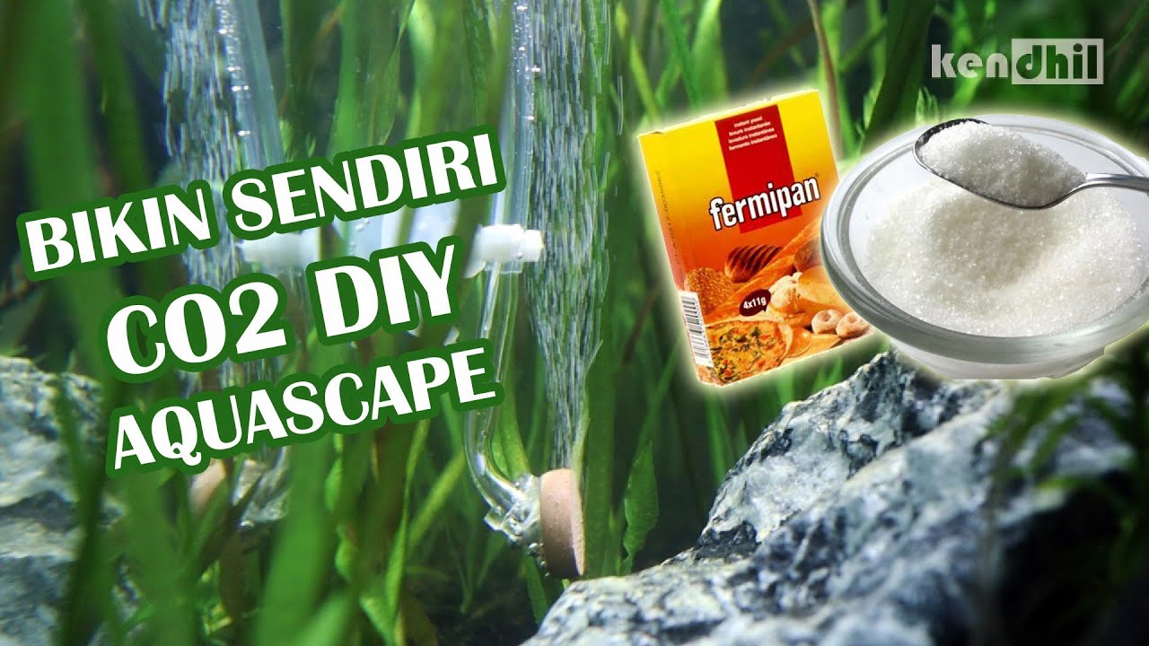 Membuat CO2 Aquascape DIY sendiri di rumah dengan ragi dan gula (RaGul)