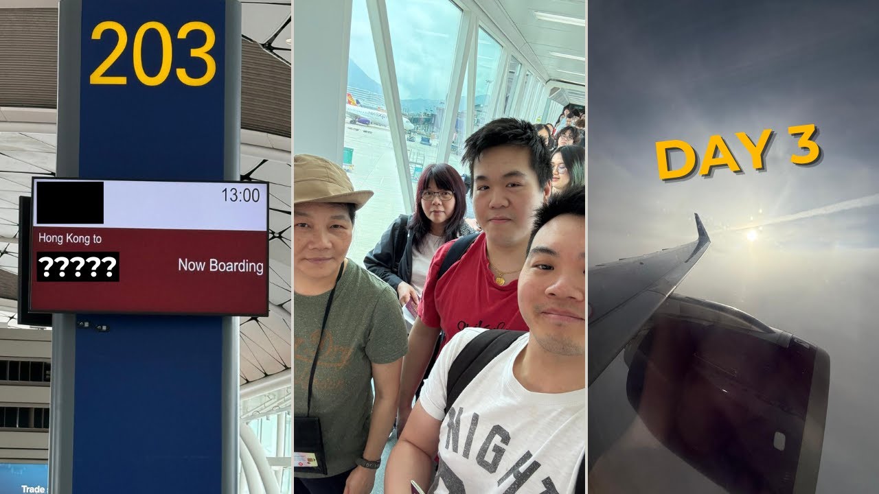 New travel buddies inbound! Can you guess where we're flying to next?