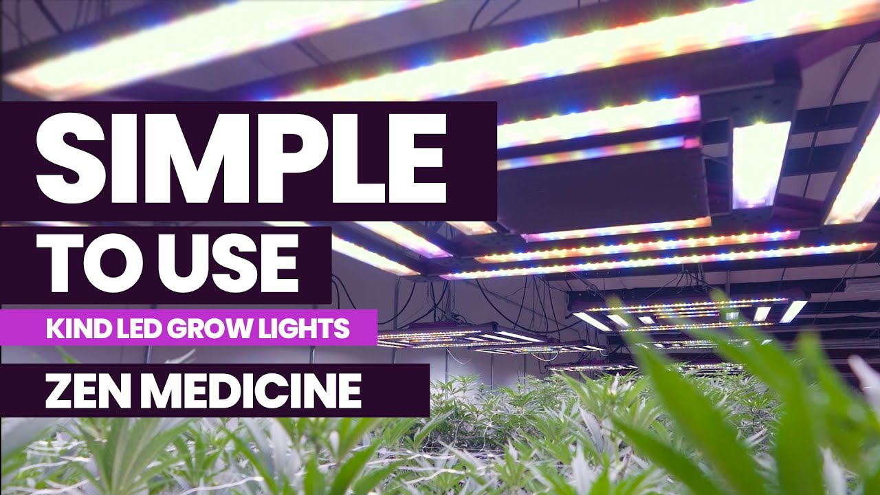 Simple to Use KIND LED Grow Lights [PREVIEW]