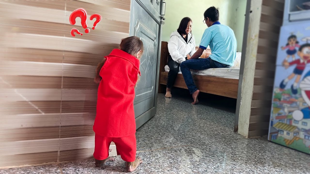 CUTIS cry when overheard dad's secret conversation??? Dad will go to work!