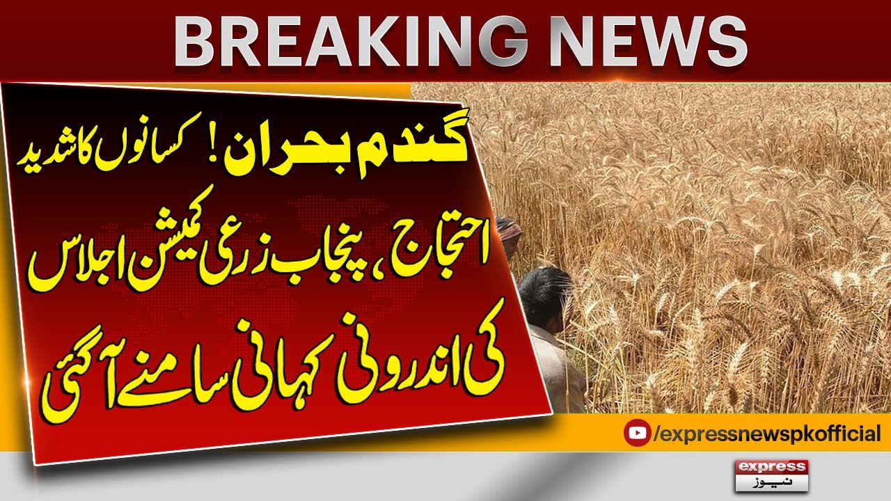 Wheat Crisis | Farmers Protest| Inside Story Of Punjab Agriculture Commission Meeting| Breaking news