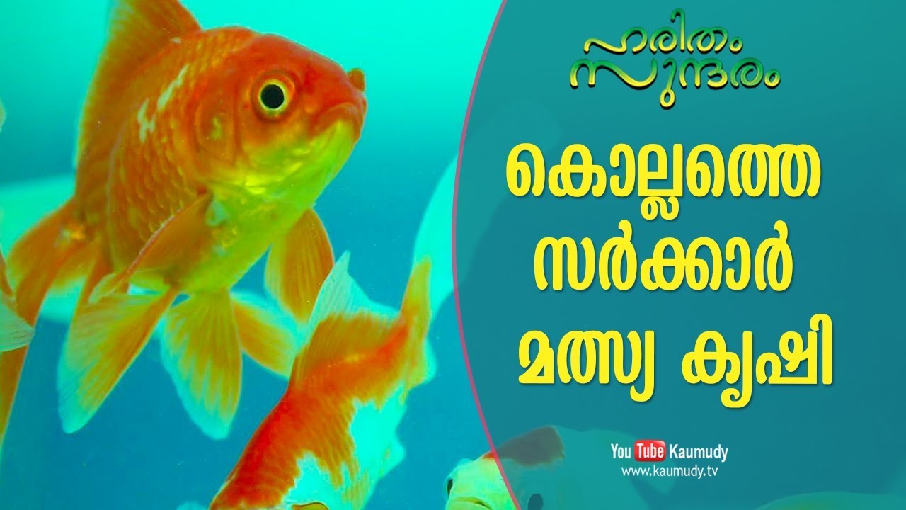 The profitable government fish farming at Kollam | Haritham Sundaram EP 194 | Kaumudy TV