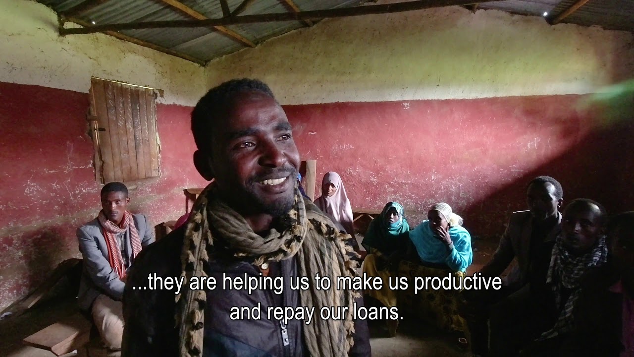 Business Development Support to youth groups in Ethiopia (English substitles)