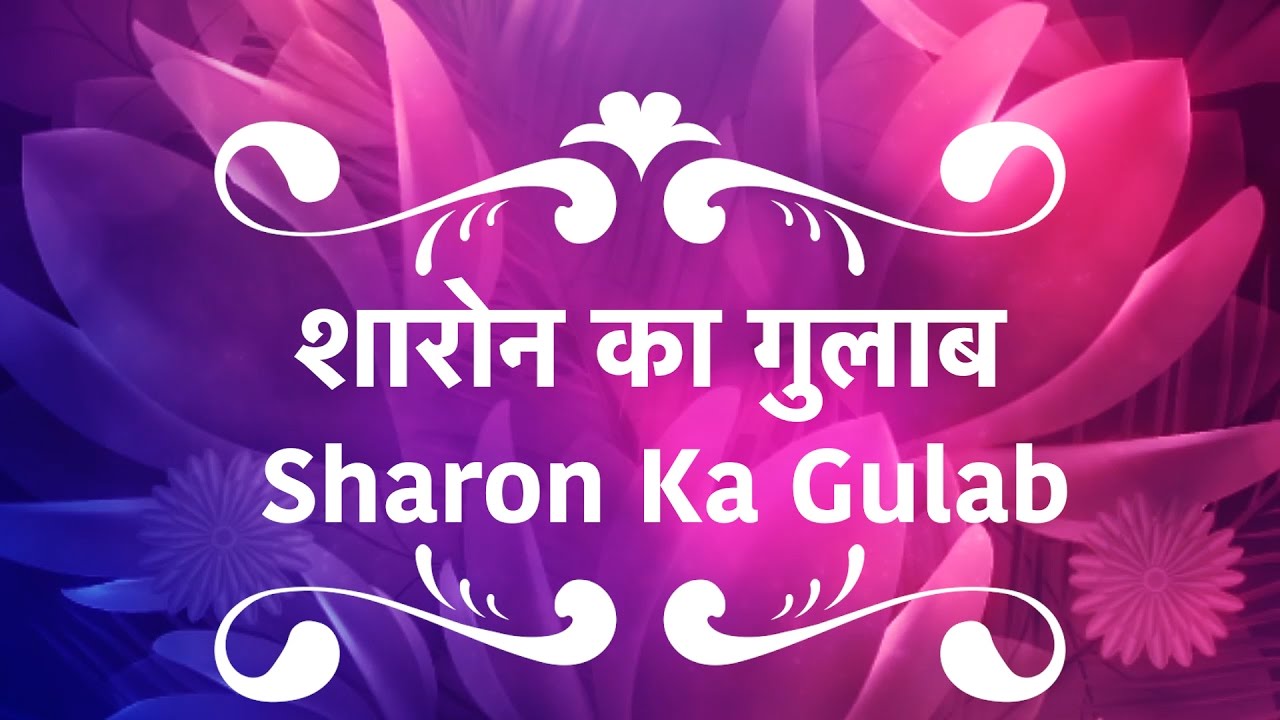 Sharon Ka Gulab - शारोन का गुलाब