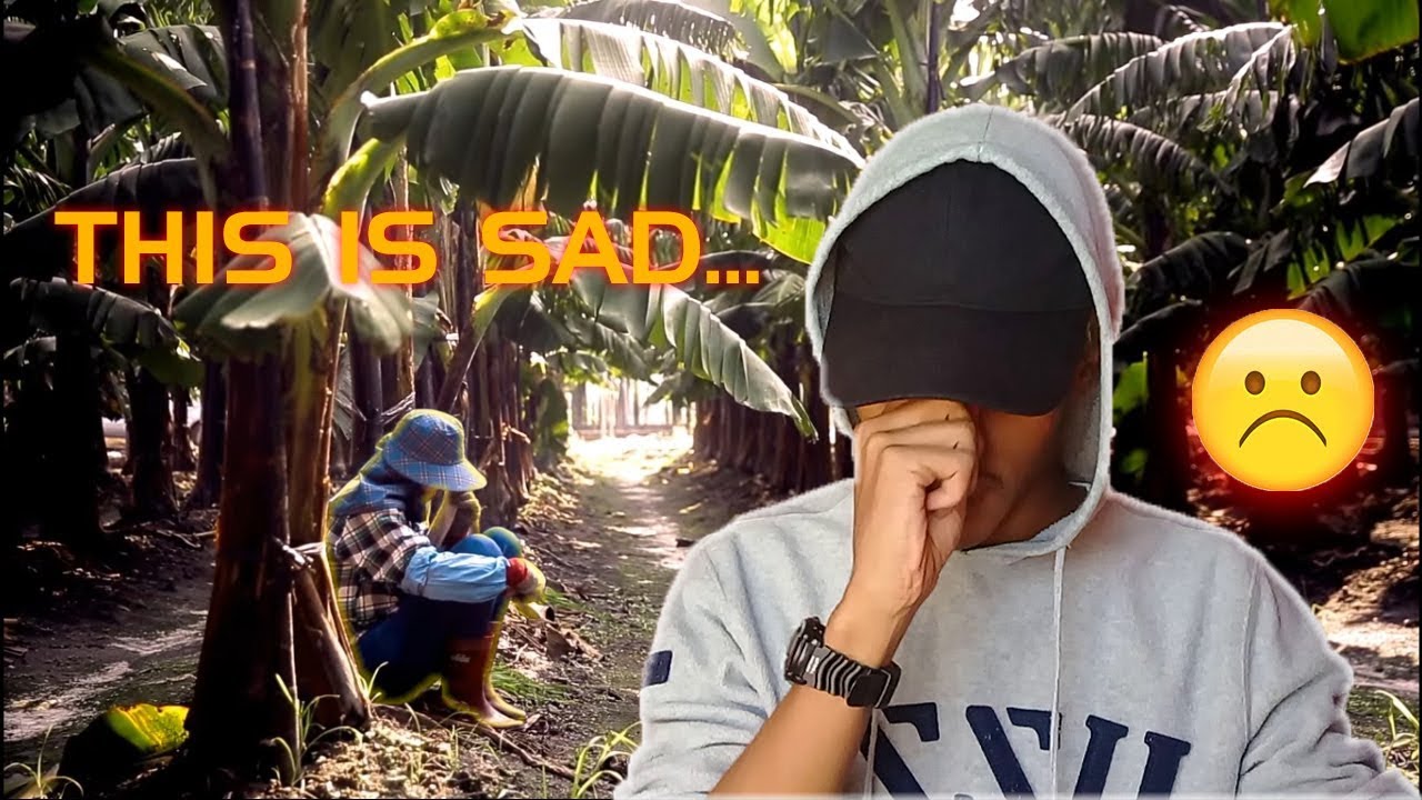 LX Reaction 🐉 to 「【蔡依林PLAY世界巡迴演唱會- 臺北站】「不一樣又怎樣」紀錄片-葉永鋕篇 」😞 || World Tour Documentary ❤