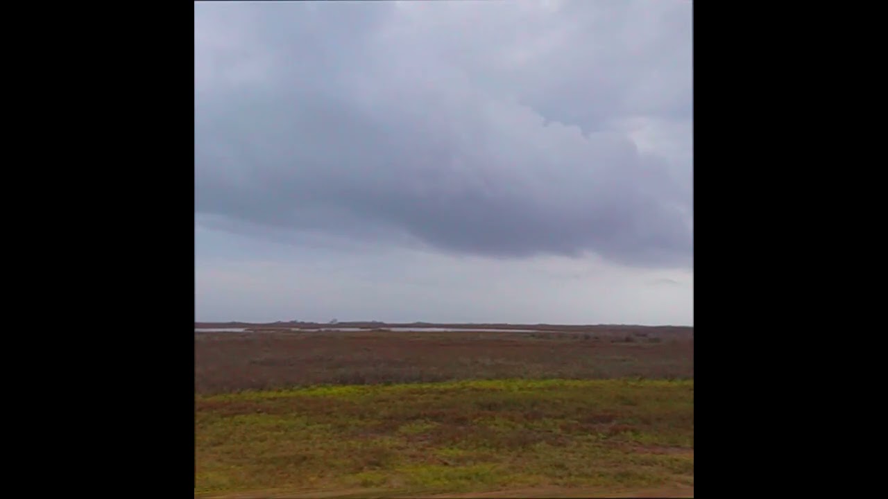 the sounds of a salt marsh | Field Recording