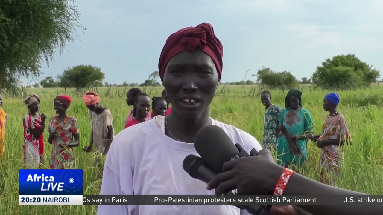 South Sudanese turn flooded areas into rice fields