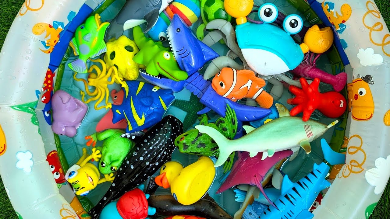 Ocean Animals for Toddlers | Learn Names, Fun Facts & Educational Ocean Toys for Kids
