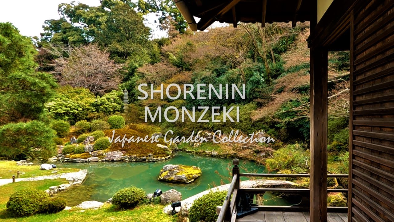 Pond Garden, Moss Garden, Bamboo fence | Japanese Garden Tour in KYOTO | SHORENIN MONZEKI