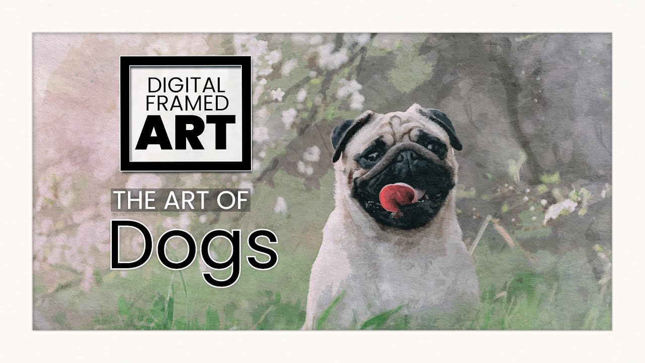 Calming Dogs in Nature Art Loop | 3 Hours of Dog Portraits in Nature | Art Loop with Calming Music