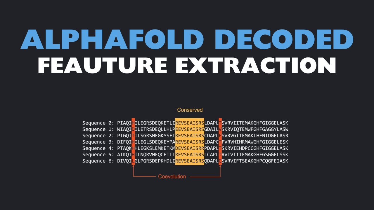AlphaFold Decoded: Feature Extraction (Lesson 4)