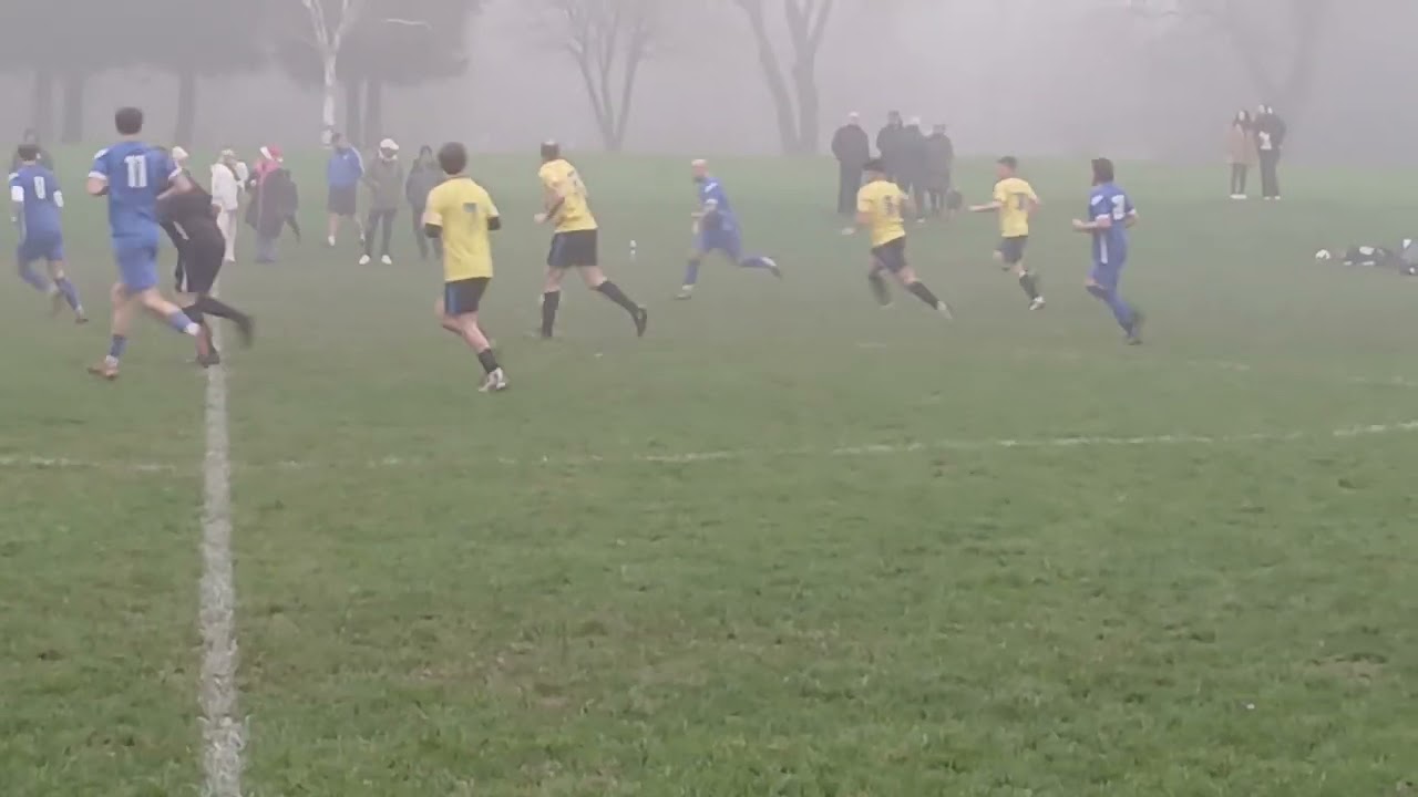 dec refs clips