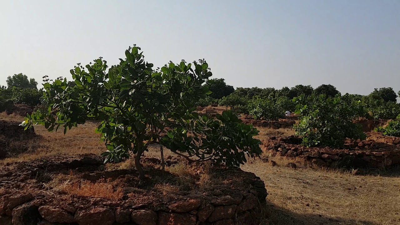 Tolstoy Farm - Nature at Work