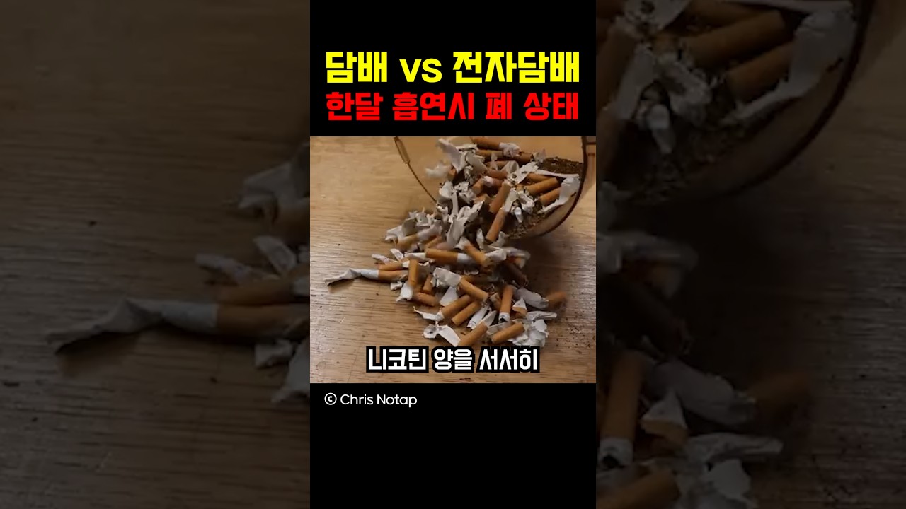 담배 vs 전자담배 한달 흡연시 폐 상태 ㅎㄷㄷ