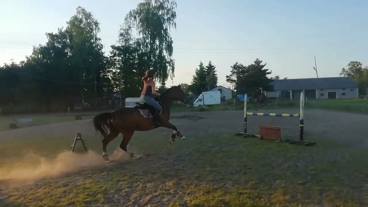 Moje zawodowe folbluty.