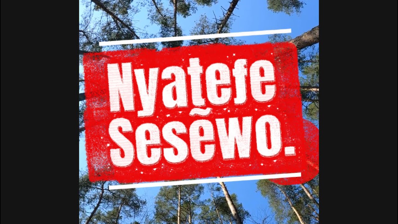 Nyateƒe sesẽwo. 
