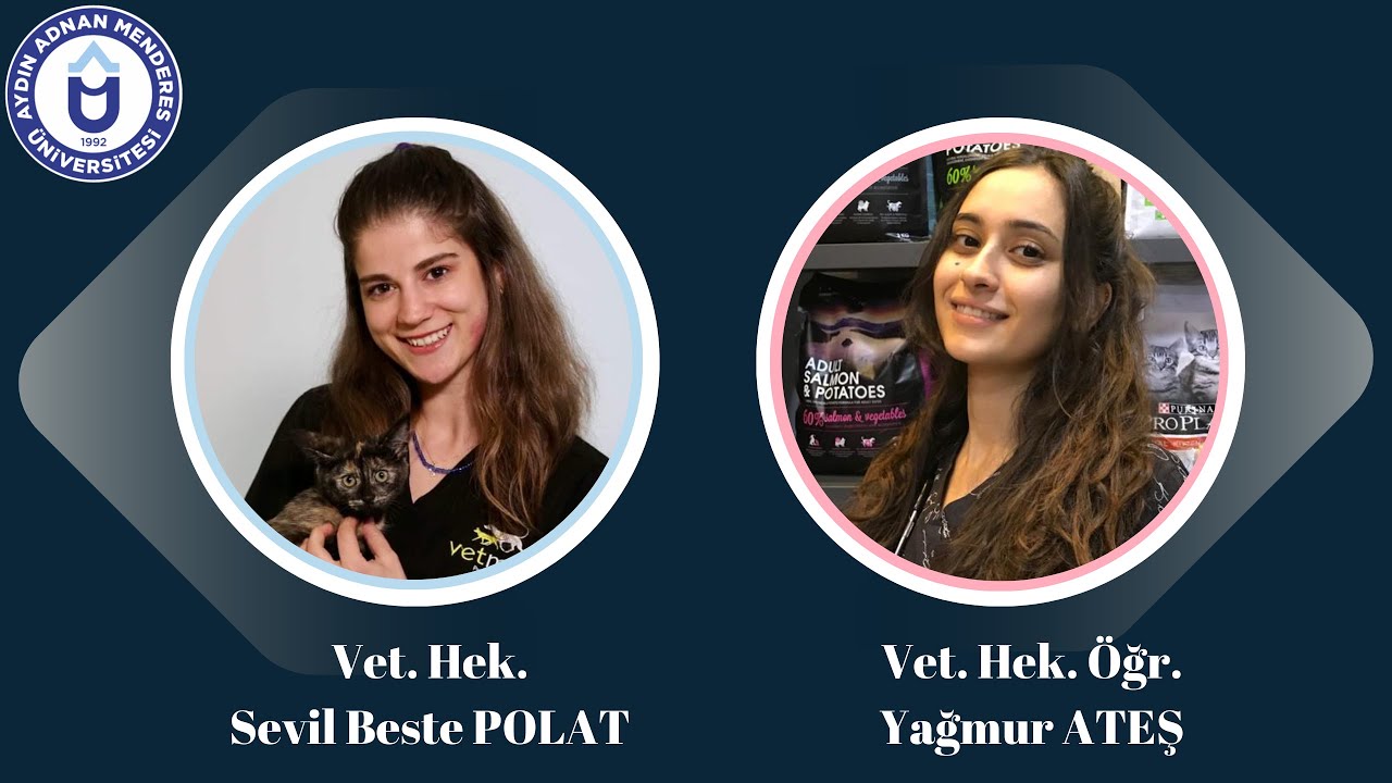 VET. HEK. SEVİL BESTE POLAT (YURTDIŞI  DENKLİK VE KLİNİSYENLİK)