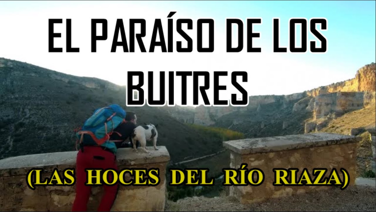 Senderismo por las Hoces del Riaza, hasta la Ermita del Casuar. Si quieres ver aves...es el lugar