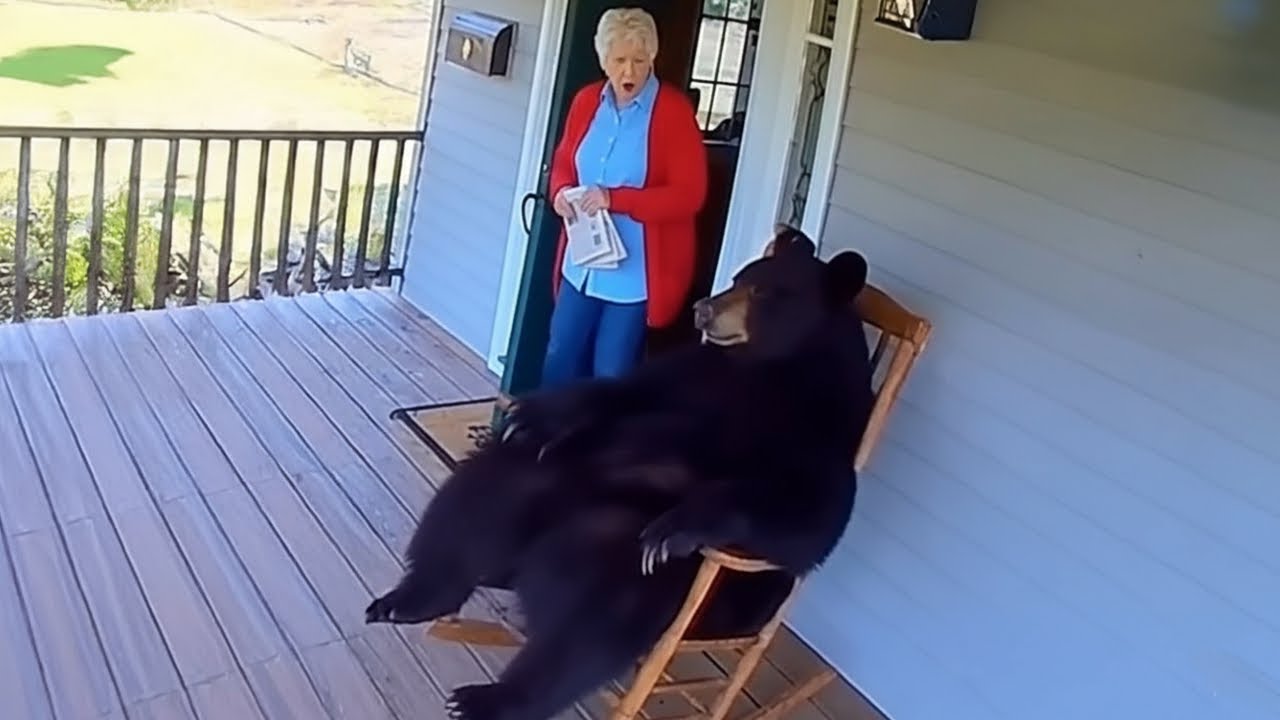 ANIMALES que SORPRENDIERON a Personas en SUS PROPIAS CASAS