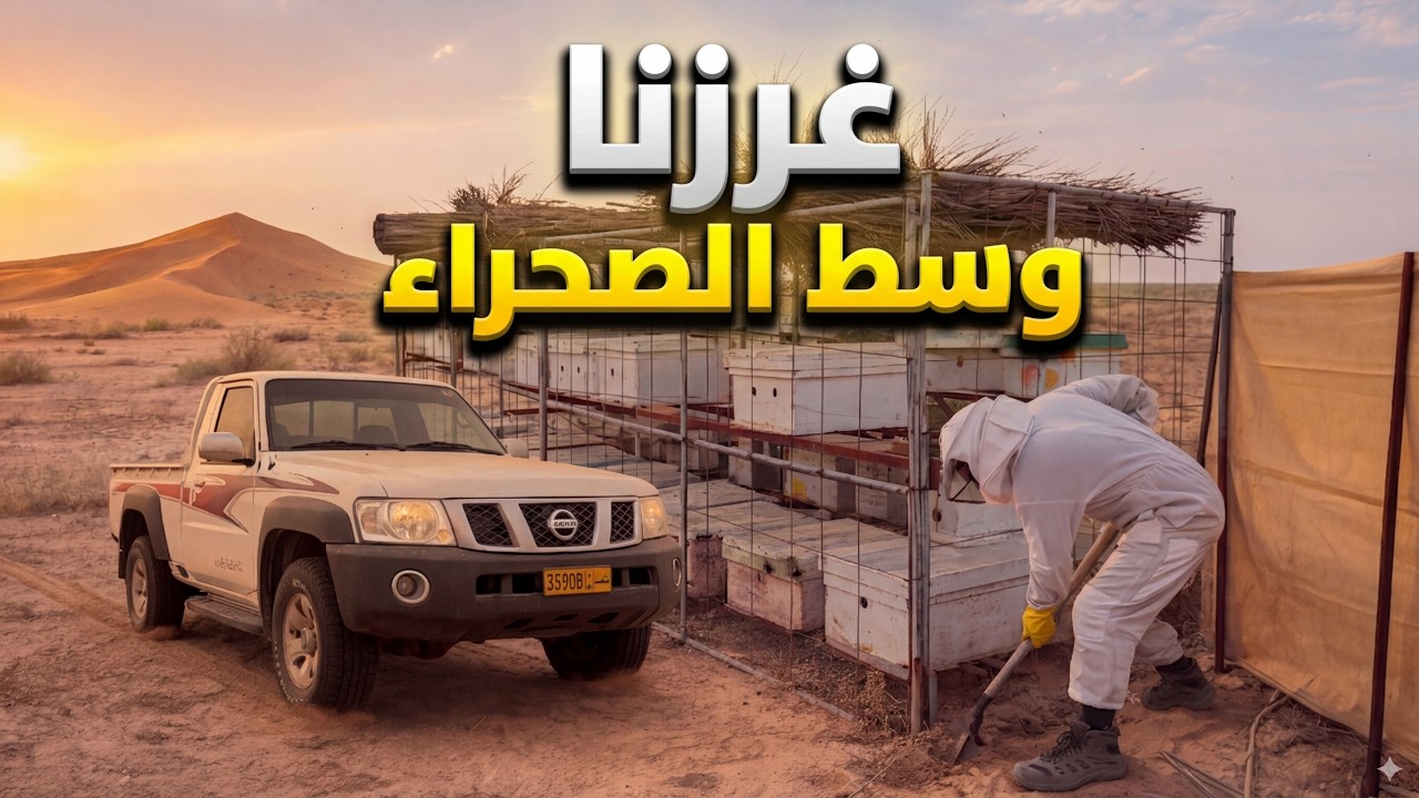 نقل النحل وسط الصحراء 🇴🇲🏜️