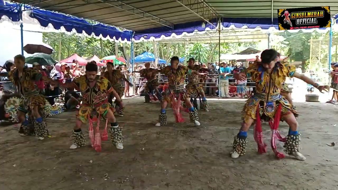 Rampak gedrok New Grasak vet kudho kencana taji