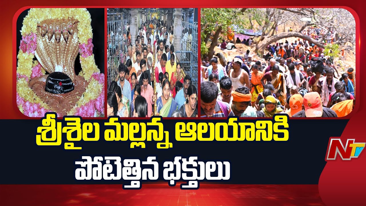 Devotees Rush at Srisailam Temple | Live Updates | NTV Telugu