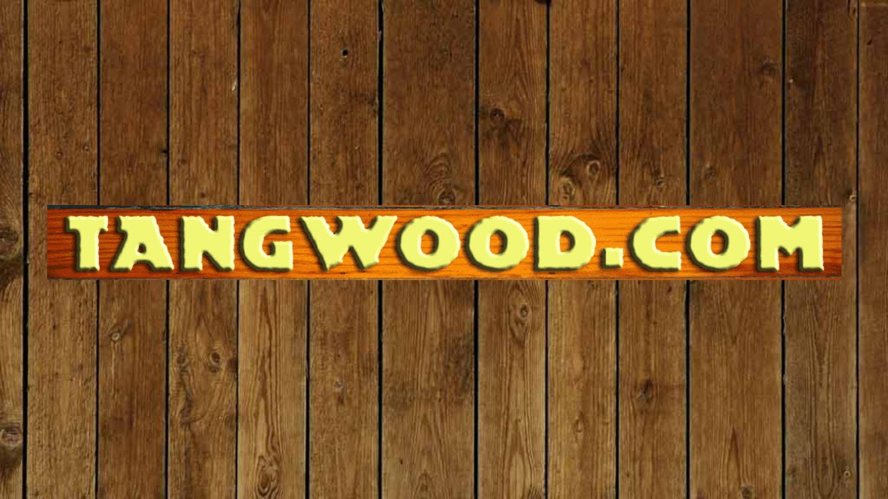 Increase your online popularity with Tangwood.com