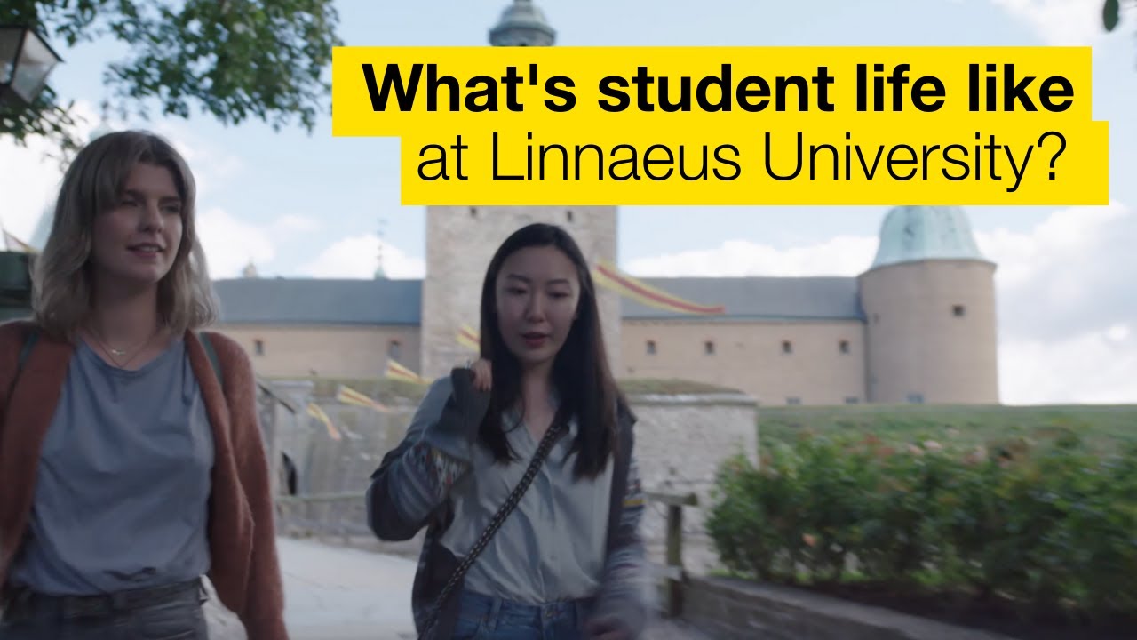 Life as an international student at Linnaeus University