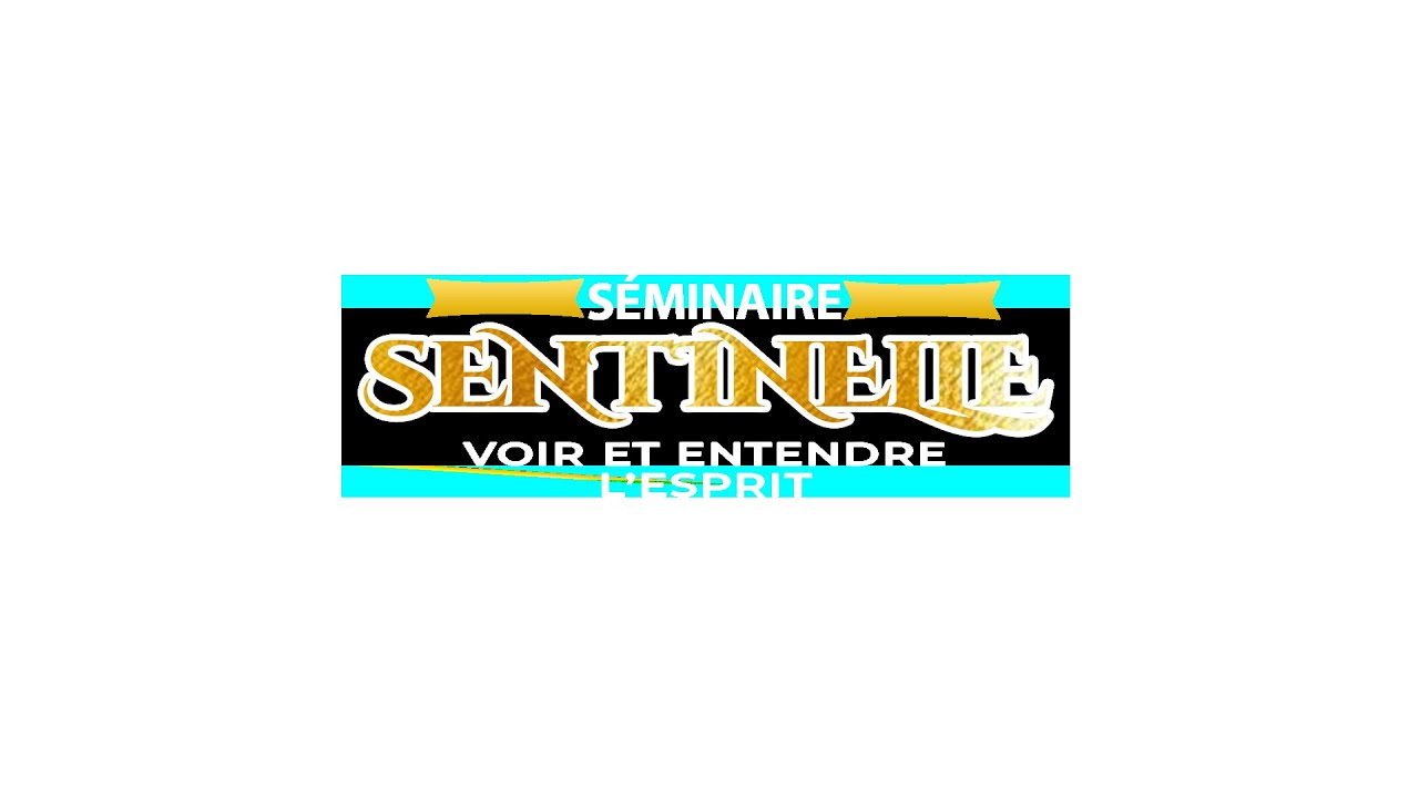 SÉMINAIRE SENTINELLE VOIR ET ENTENDRE L’ESPRIT JOUR 3